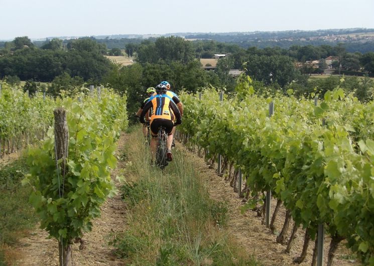 LES VTT DE BEAUCAIRE