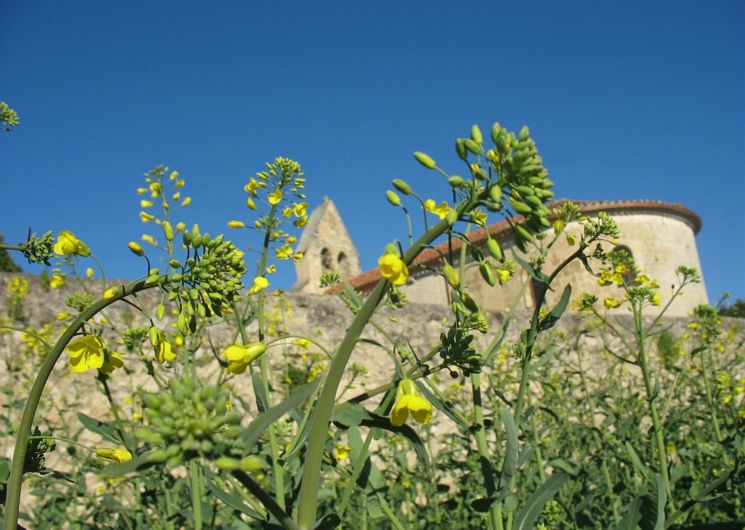 Chapelle de las