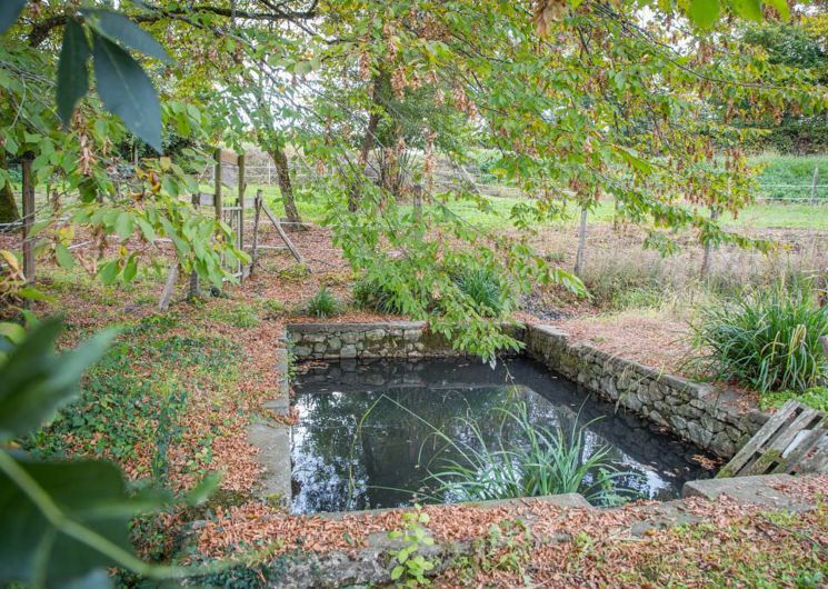 Lavoir de Peyruc