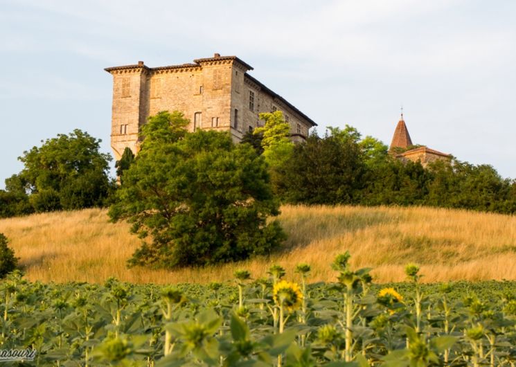 Château de Lavardens et champ de tournesols