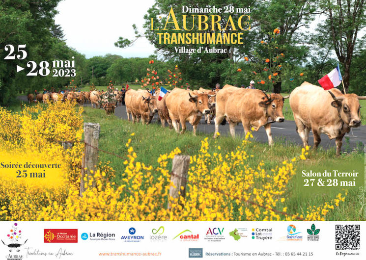 Fête de la Vache Aubrac en Transhumance à Aubrac 2023