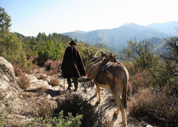 Cévennes - Col Saint-Pierre