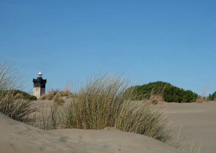 Plage de l'Espiguette