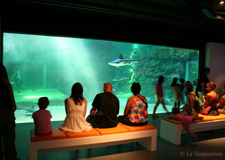 Tous à vélo au bord de l’eau au Grau du Roi Port Camargue