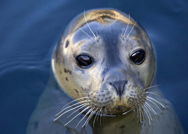 Tous à vélo au bord de l’eau au Grau du Roi Port Camargue