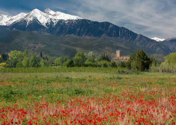 La Vallée de la Têt