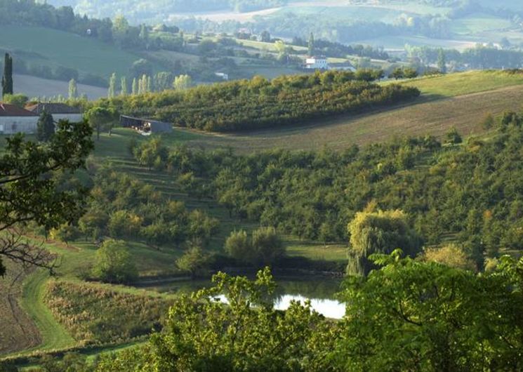 Circuit viticole Montpezat de Quercy