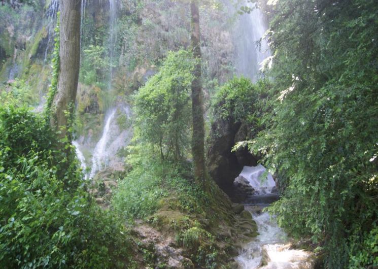 Cascades pétrifiantes de Roquefort-les-cascades