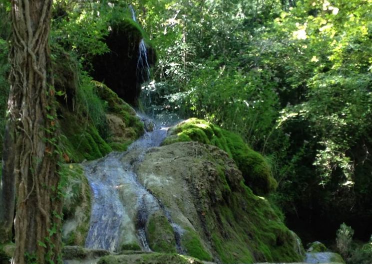 Cascades pétrifiantes de Roquefort-les-cascades