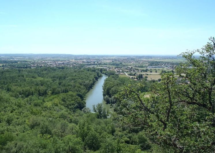 La réserve du confluent Garonne - Ariège vue de Goyrans