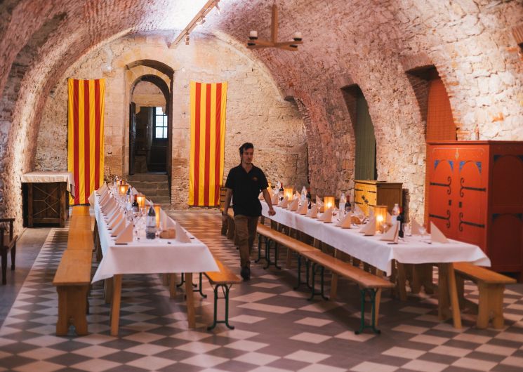 ARIÈGE PYRÉNÉES DESTINATION AFFAIRES