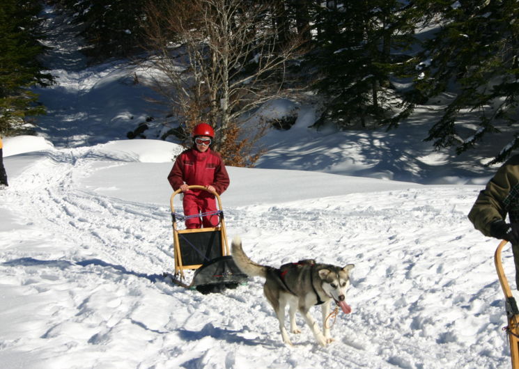 classe raquette et cani-rando