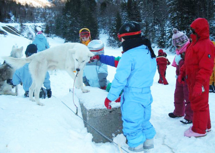 Classe cani-rando et raquettes à neige