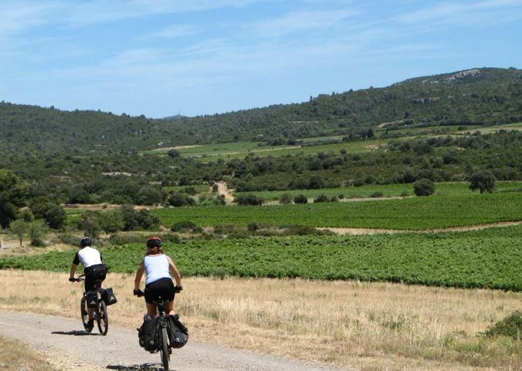 Les vignobles du Languedoc à vélo