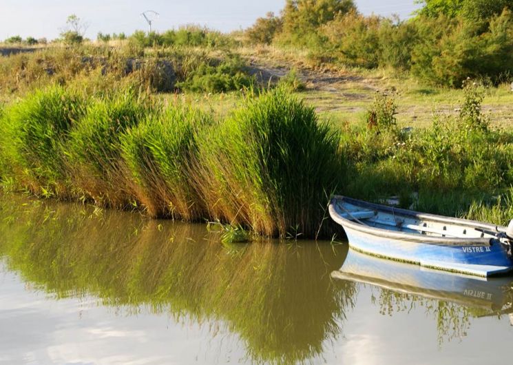 Percez les secrets de la culture Camarguaise