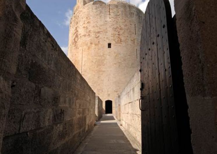 Percez les secrets de la culture Camarguaise
