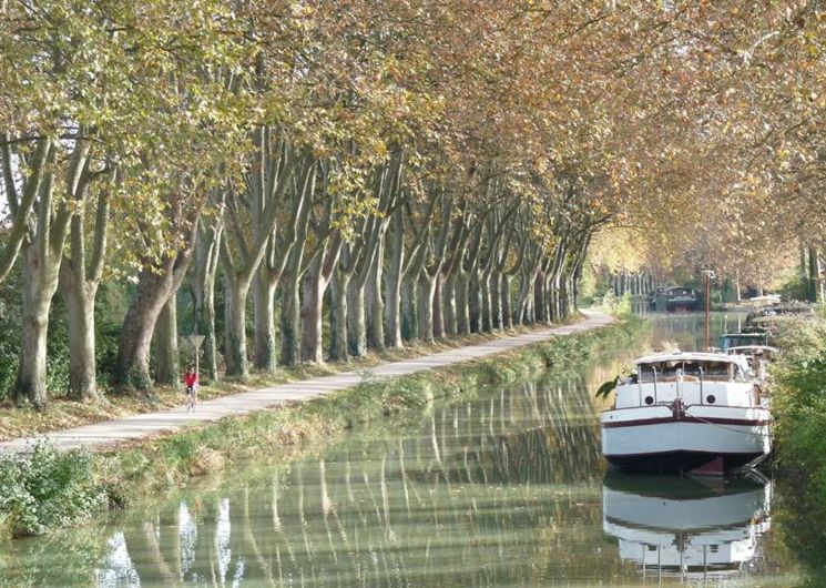 Canal des Deux Mers à vélo, de Moissac à Carcassonne