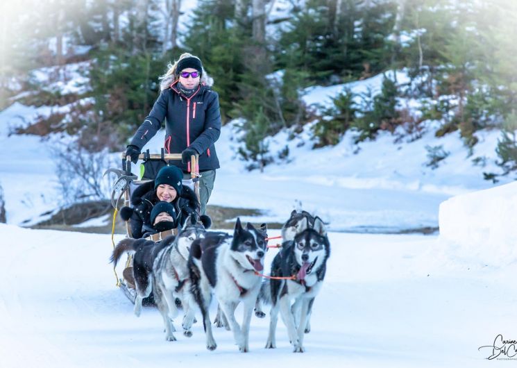 Dog Sled Ride with Husky Evasion_Mijanès