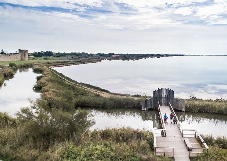 La Camargue à Vélo