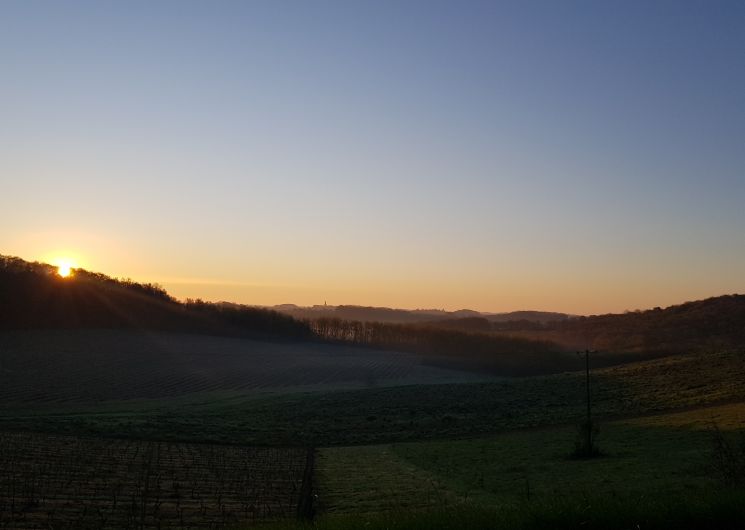 Des parcelles du Domaine en face de l'entrée principale