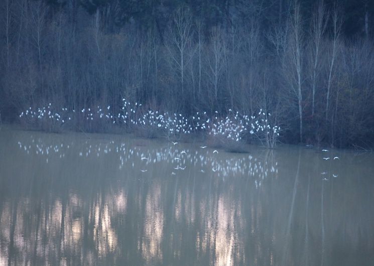 Ce que vous pouvez observer au Lac Saint-Laurent lors d'une randonnée pédestre