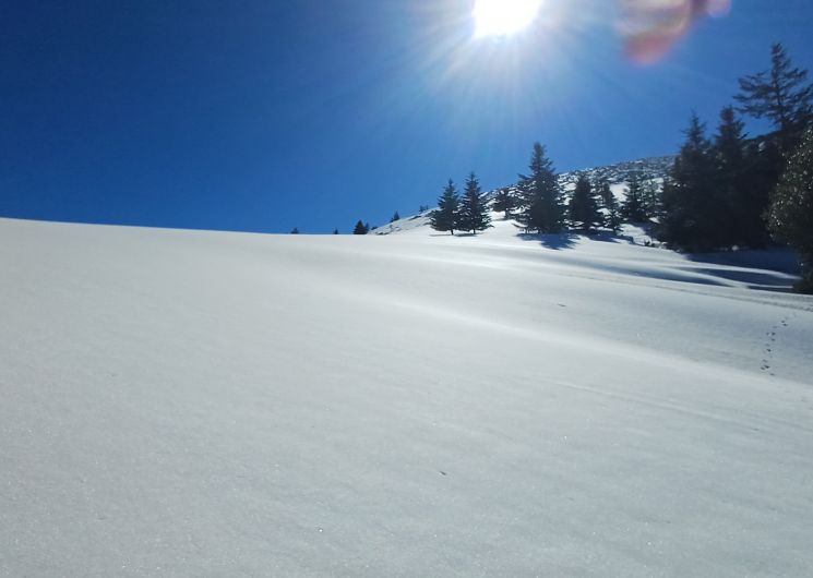 Raquettes à neige