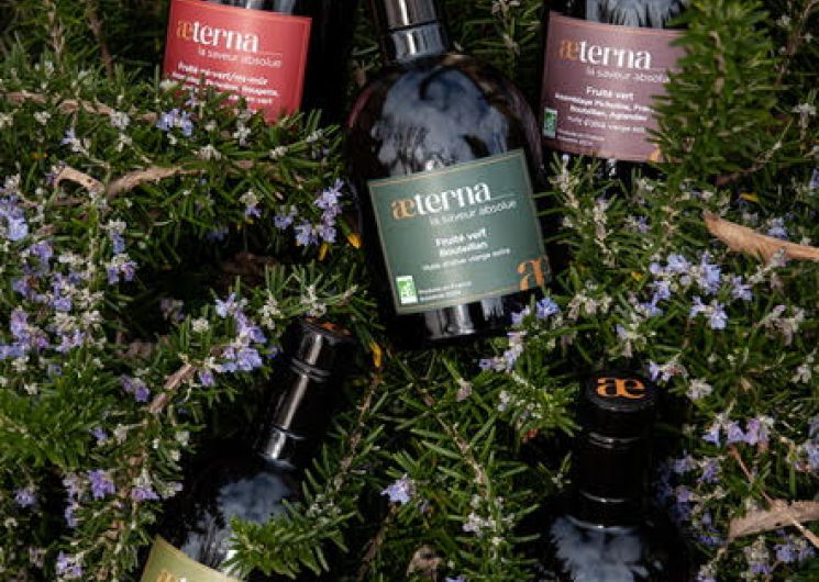 Initiation et dégustation d'huile d'olive chez Maison Aeterna_Salazac