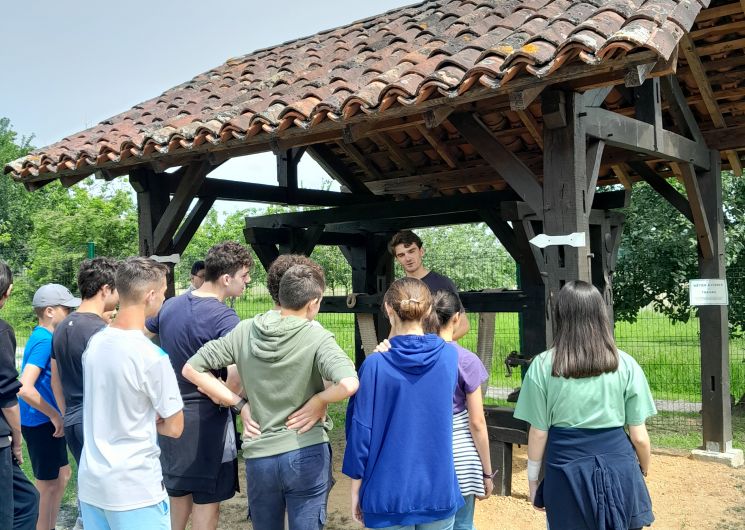 visite guidée