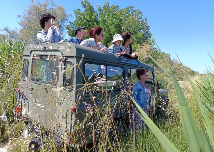 Balade en 4x4 avec Karine Coeur de Camargue_Vauvert
