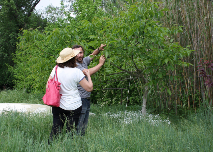 Visite du jardin et dégustation de glace artisanal - Sauvages et Compagnie_Sardan