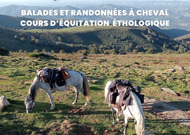 Balades à cheval