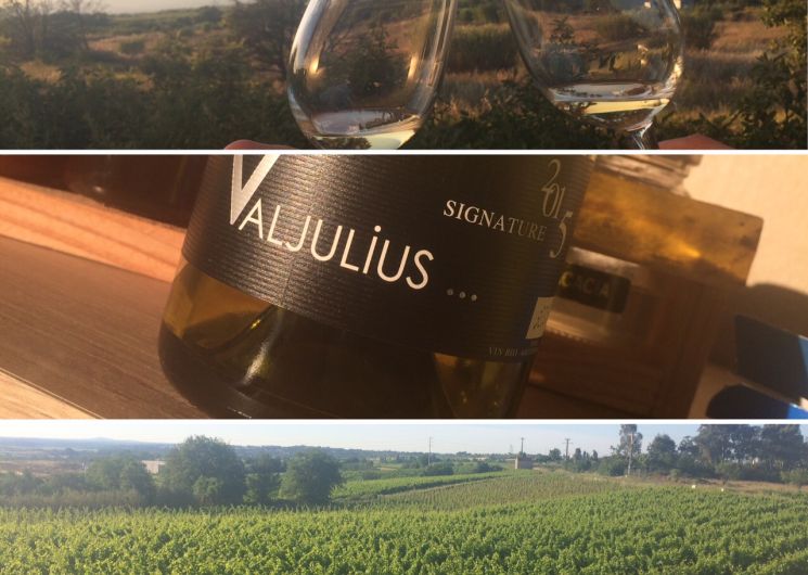 Balade vigneronne - Domaine Valjulius_Corneilhan