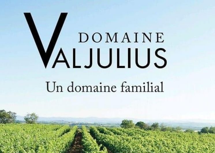 Balade vigneronne - Domaine Valjulius_Corneilhan