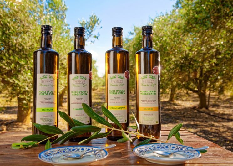 Visites gourmandes autour de l'olive - Domaine Lupia_Sérignan