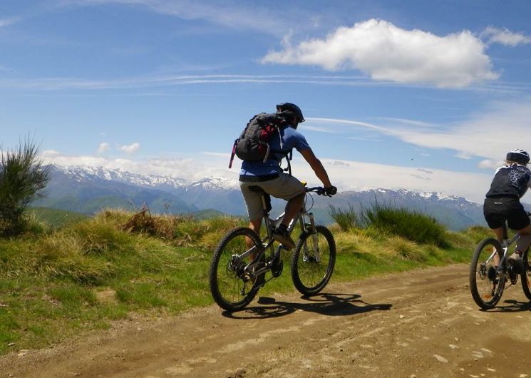 VTT