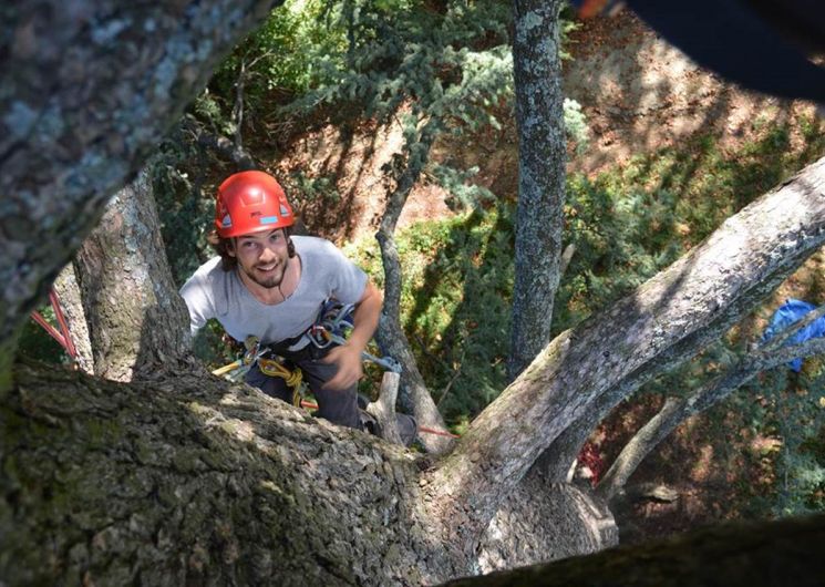 Tree-climbing discovery, with Haut Perché_Ignaux