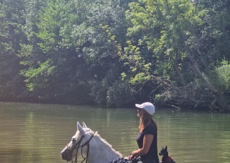 Balades Aquatiques à cheval