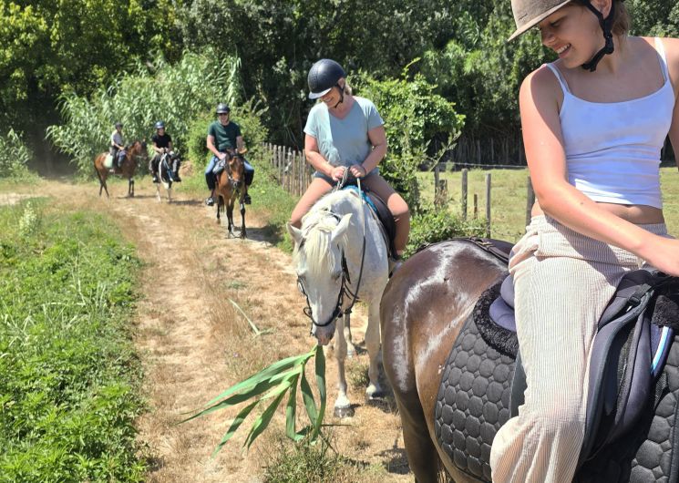 Balade Family à cheval