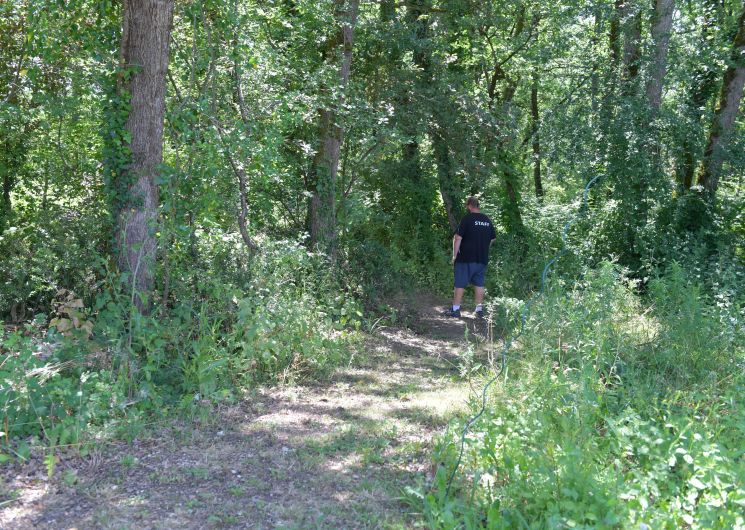 Camping Le Faucon d'Or