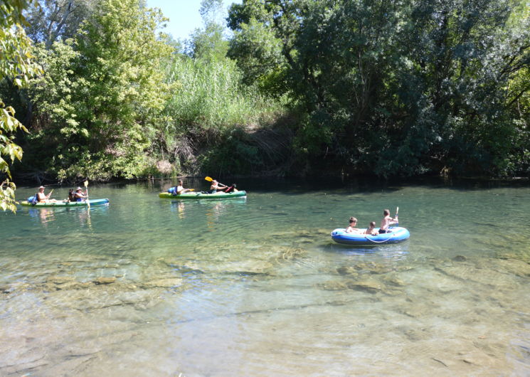 Camping La Grenouille