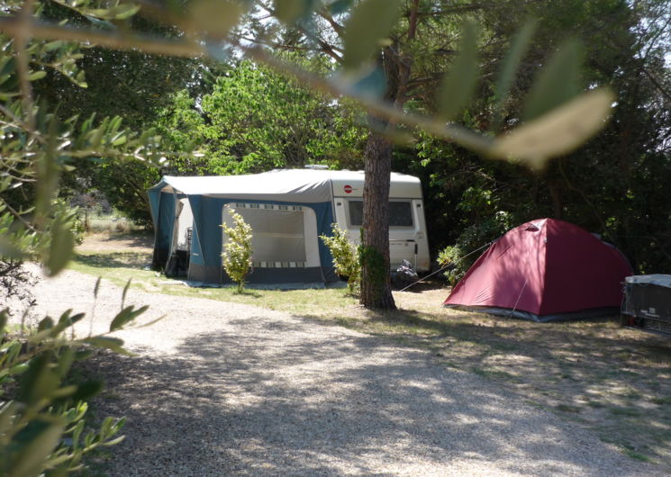 Camping l'Olivier