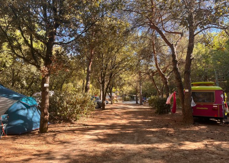 Camping Les Bords de Cèze