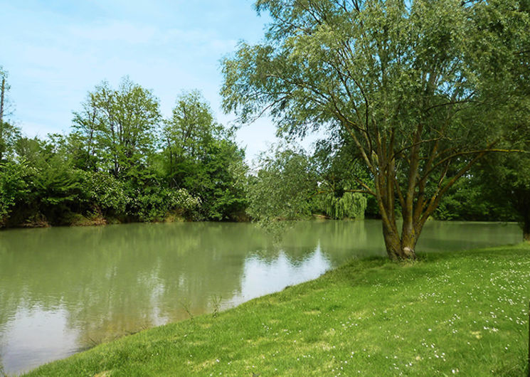 Bord de rivière