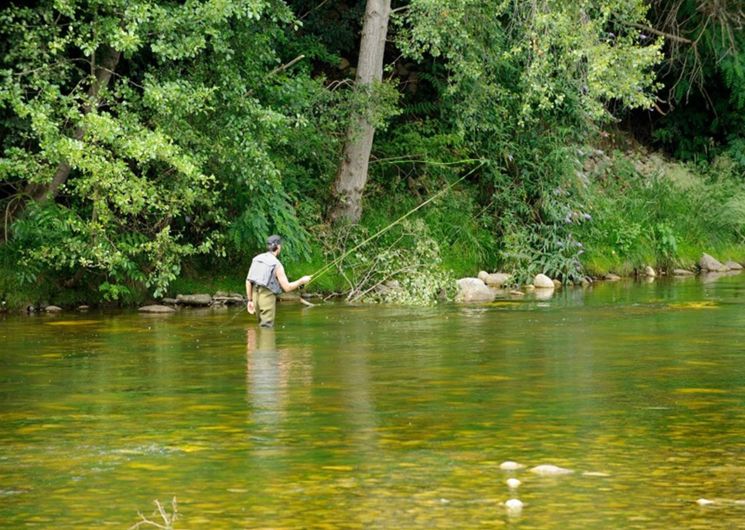 peche-camping-mijeannes