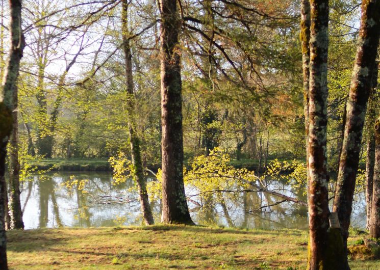 Camping Les Rives de Courtes_Estang