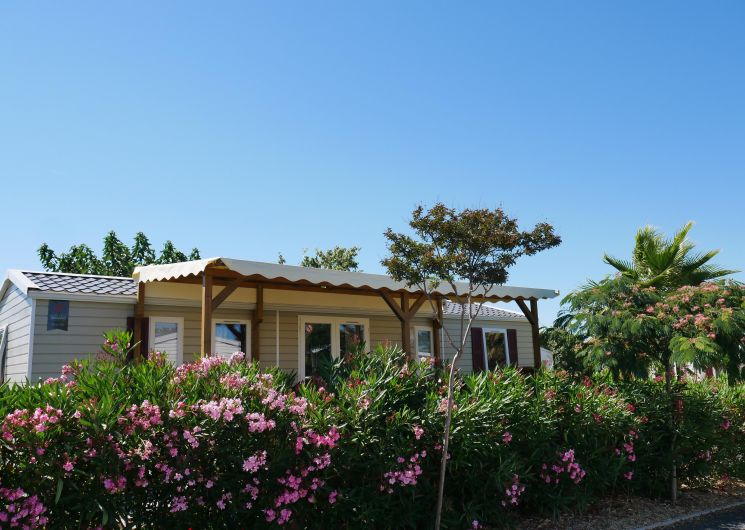 sables-du-midi-non-humain-corentin108-2