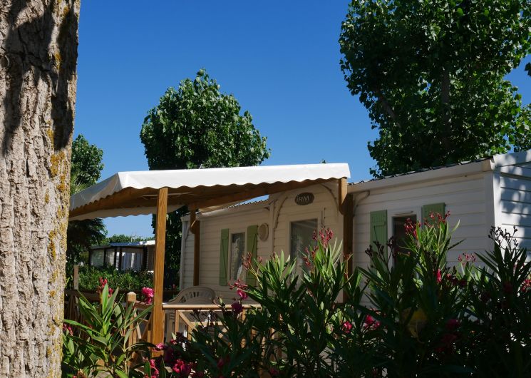 sables-du-midi-non-humain-corentin143-2