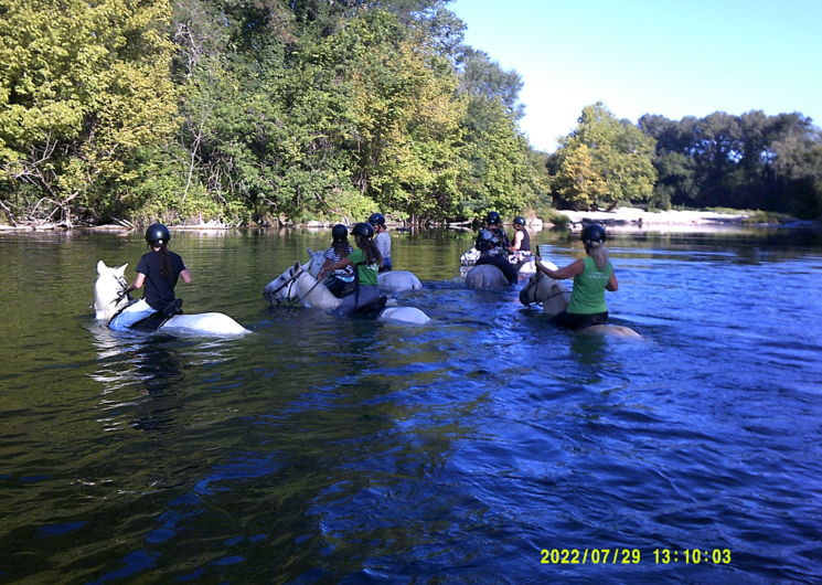 Traversée de la rivière