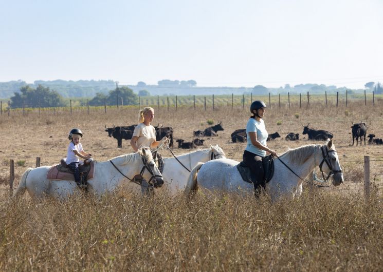 A cheval chez Théo_Beauvoisin