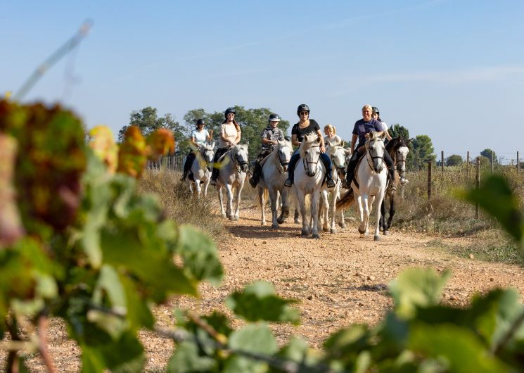 A cheval chez Théo_Beauvoisin